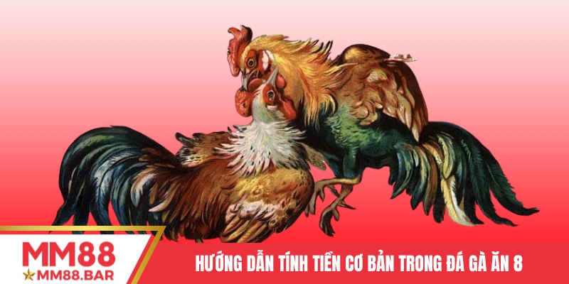 Hướng dẫn tính tiền cơ bản trong đá gà ăn 8
