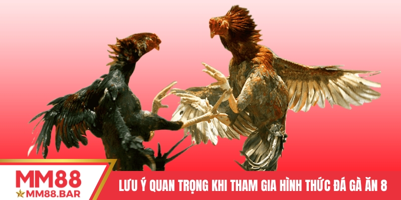 Lưu ý quan trọng khi tham gia hình thức đá gà ăn 8